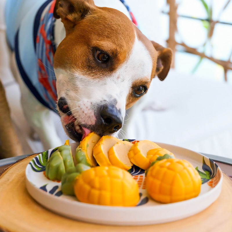 Dog Cake & Candy Sets – MISHKA Luxury Dog Boutique