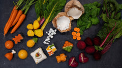 The History of Dog Treats: From Ancient Snacks to Modern Natural Desserts