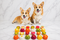 Load image into Gallery viewer, Candies Set
