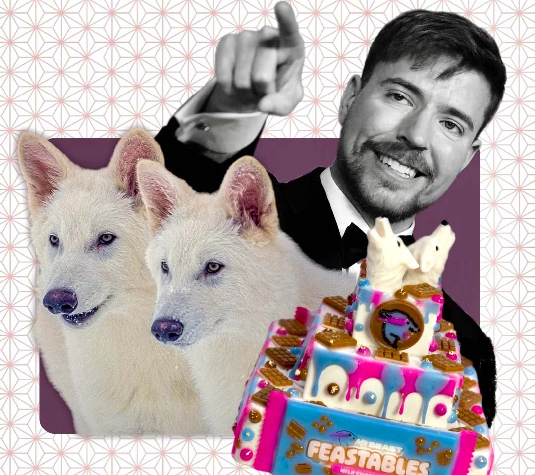 The MISHKA cake with Feastables for the dire wolves