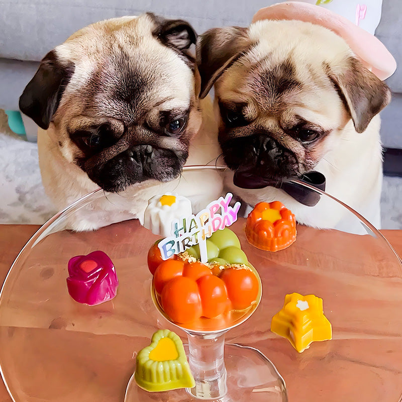 A set of candies for dogs and puppies, prices - nationwide