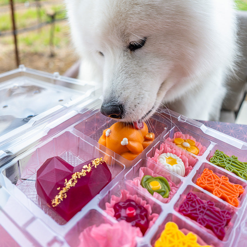 A set of candies and cakes for dogs and puppies, prices