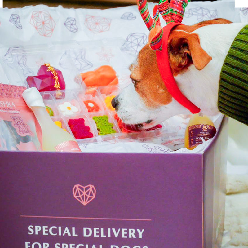 A set of candies and cakes for dogs and puppies, prices