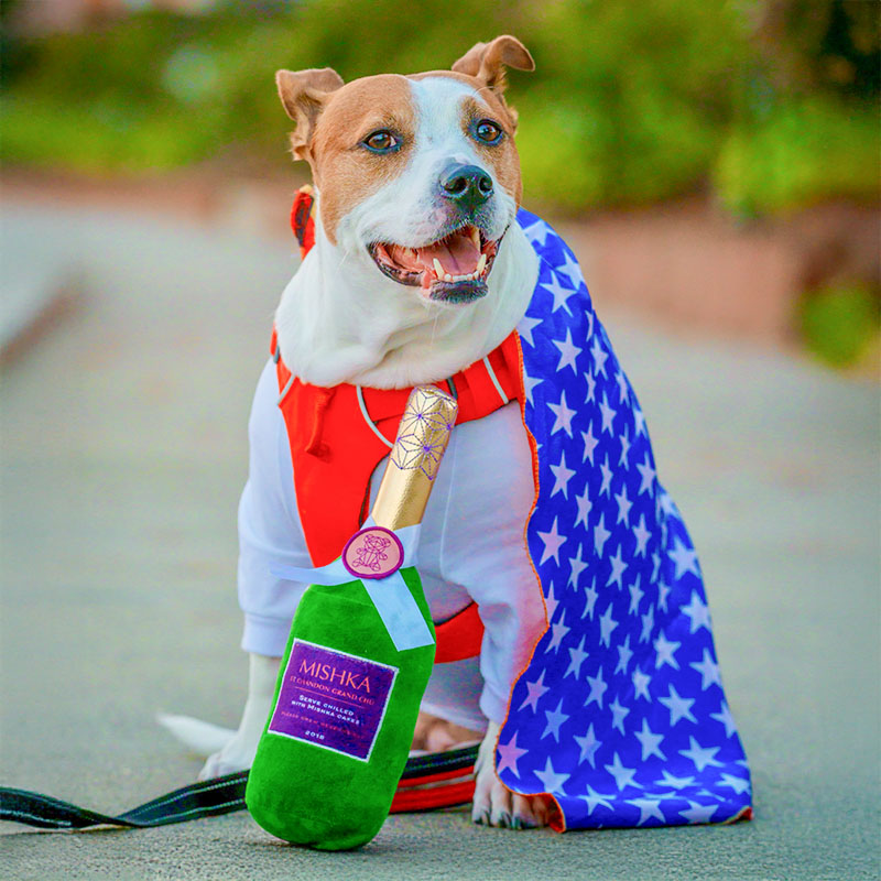 Plush champagne bottle toy for dogs and puppies, prices