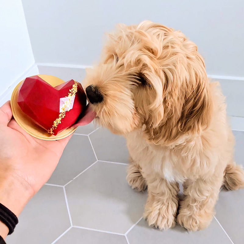 Chef's Favorite Cakes