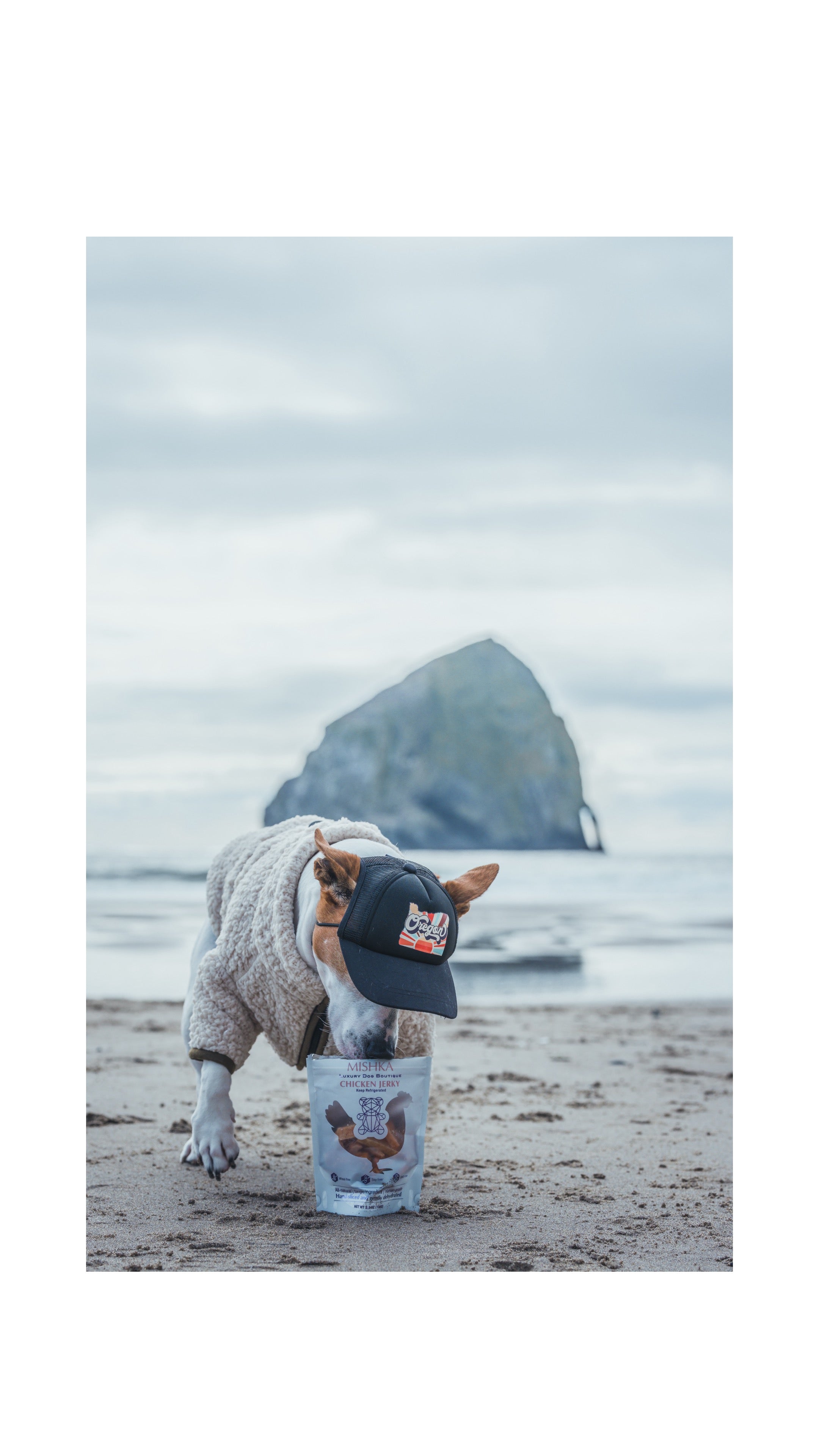 Hand-cut jerky for dogs and puppies, prices - nationwide delivery